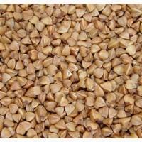 Крупа гречана ціна договрна