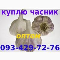 Куплю часник від 100 кг, працюю по всіх областях