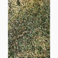 Махорка, самосад зелена. 800 грн/1 кг