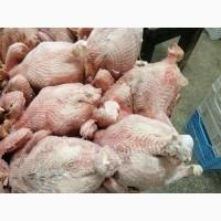 Продам тушку курей несушок, субпродукти