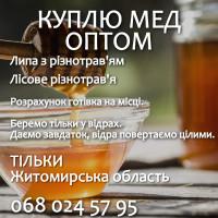 Мед закуповуємо оптом