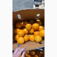 Продам апельсин