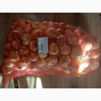 Продам лук на перо зелень
