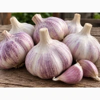 Продам часник