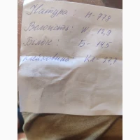 Продам пшеницю продовольчу