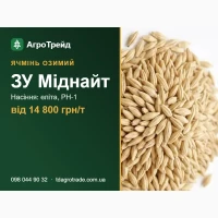 ЗУ Міднайт - озимий ячмінь Saaten-Union: посівне насіння еліта, РН-1, від 14 800 грн/т