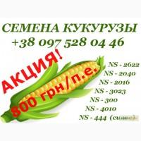 Продам семена кукурузы. NS Seme ( сербская селекция, Нови-Сад, Сербия )