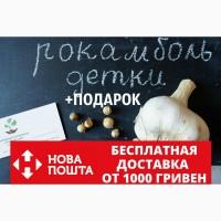 Рокамболь семена (детки) (20 штук) (слоновий чеснок) гигантский лук-чеснок, насіння