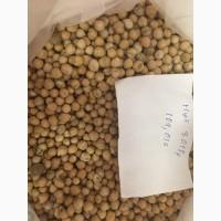 Продам нут Зеговіт, Тріумф
