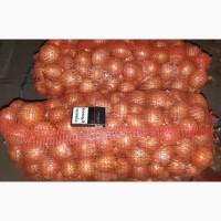 Цибуля Деподжу бт Тохум Турция