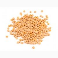 Продам ГОРЧИЦУ цена договорная