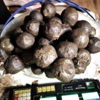 Продам Бортний прополіс
