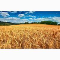 Продам действующие Агропредприятия 20600га Колхоз