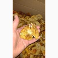 Красный сушенный мухомор, шляпки, микродозинг, настойка мухоморная, недорого