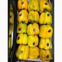Продам Цитрус из Турции