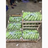 Продам Цитрус из Турции