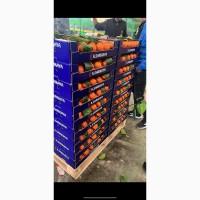 Продам Цитрус из Турции