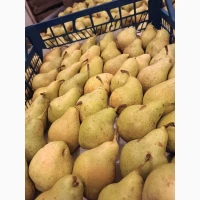 Продам грушу Нояберську