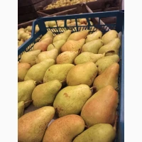 Продам грушу Нояберську