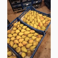 Продам грушу Нояберську