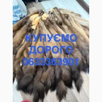 Заготовляємо шкіри куниці бобра зайця кролика