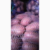 Продам кортоплю