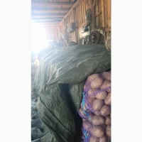 Продам кортоплю