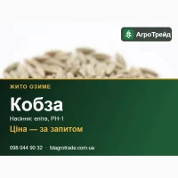 Сорт Кобза (озиме жито) - насіння еліта, РН-1 з документами
