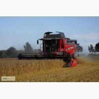 Комбайн Massey Ferguson 7370 Beta
