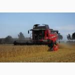 Комбайн Massey Ferguson 7370 Beta