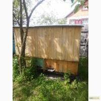 Продам вулик