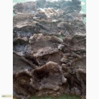 Продам вычиненные шкурки лисы, кроля, енота, бобра