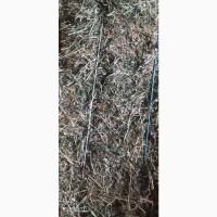 Продам сено люцерны