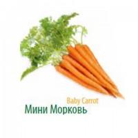 Продам Лук-порей высокого качества от крупнейшего производителя Турции