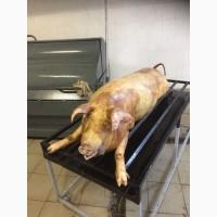 Оренда цеха для виробництва мясних консервів 500 кв.м
