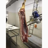 Оренда цеха для виробництва мясних консервів 500 кв.м