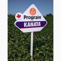 Насіння сої. соя ультра, максус