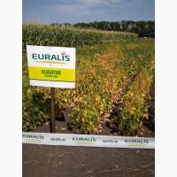 Насіння сої. соя ультра, максус