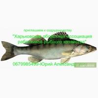 Приглвшвем к с0трудни4ест8у ры6ные х03яйст8в
