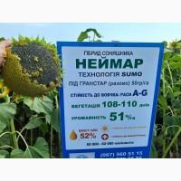 Неймар Плюс под гранстар. Подсолнечник Неймар Плюс 50ц/га, заразиха A-G