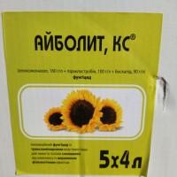 Айболит, КС - інноваційний фунгіцид для захисту посівів соняшнику від хвороб