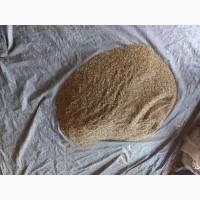 Самосад -Тютюн-Махорки