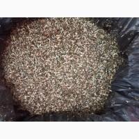 Самосад -Тютюн-Махорки