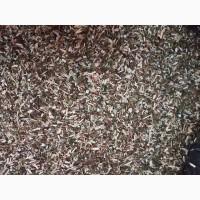 Самосад -Тютюн-Махорки