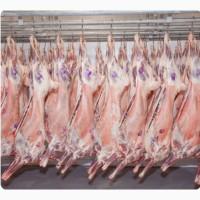 Баранина с аккредитив на Арабский Эмираты и Иран