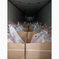 Баранина с аккредитив на Арабский Эмираты и Иран