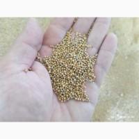 Продам Гірчицю жовту