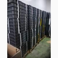 Продам ящик чешка. Нові. 600 * 400 * 110 занходяться у Волинській області