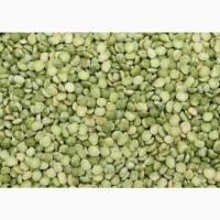 Продам горох зелёный колотый