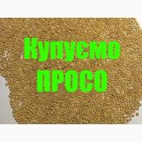 Купуємо просо
